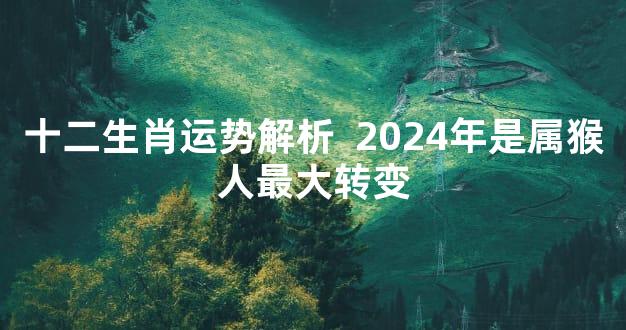 十二生肖运势解析  2024年是属猴人最大转变